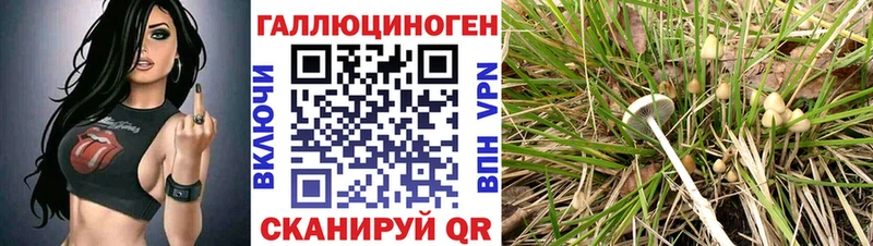 Галлюциногенные грибы прущие грибы  наркота  Бугульма 