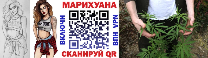где найти   Бугульма  Марихуана SATIVA & INDICA 